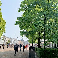 Summasen teräsrakenteet Kappelin terassikalusteissa huomioivat myös kukkaistutukset